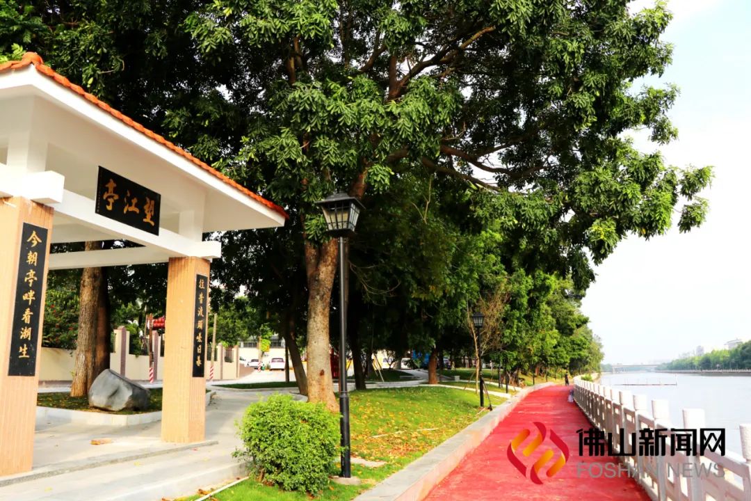 罗村有个超600年历史的古渡口！如今蝶变焕新颜