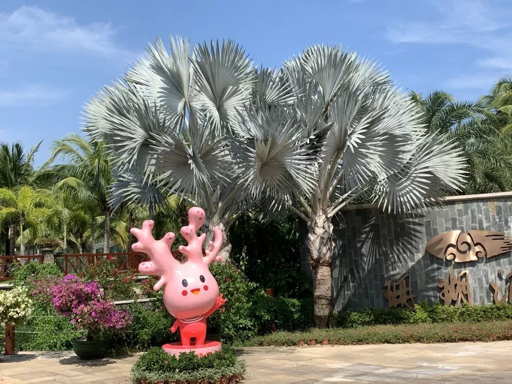 文末有福利｜带着Ta，来到这家坐拥7km的海岸线酒店