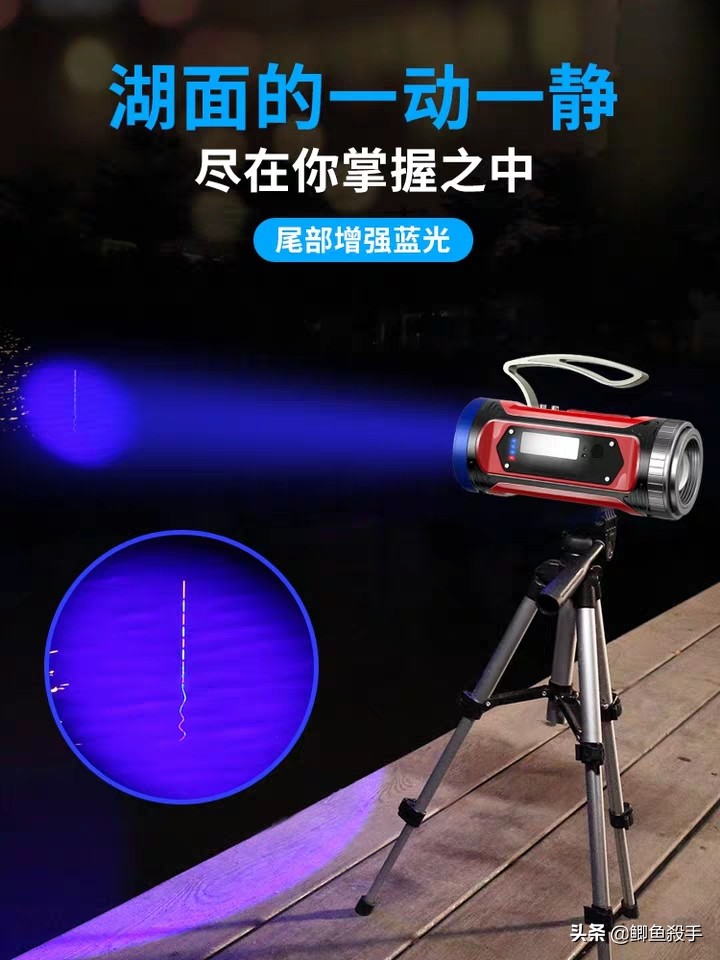 夜钓没口有人找到原因了吗,夜钓没口真的是饵料问题吗