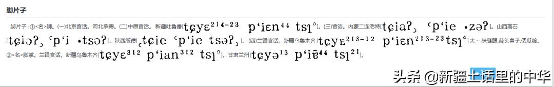 精肚子，精尻子，精脚片子、䯋膝盖子、脚把骨、尻蛋子