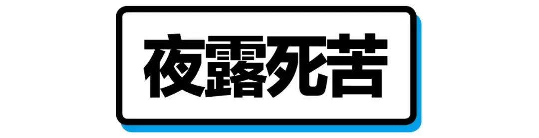 二次元黑话最新,二次元黑话100个