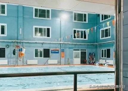 收藏游泳视频下载,冬季游泳大全