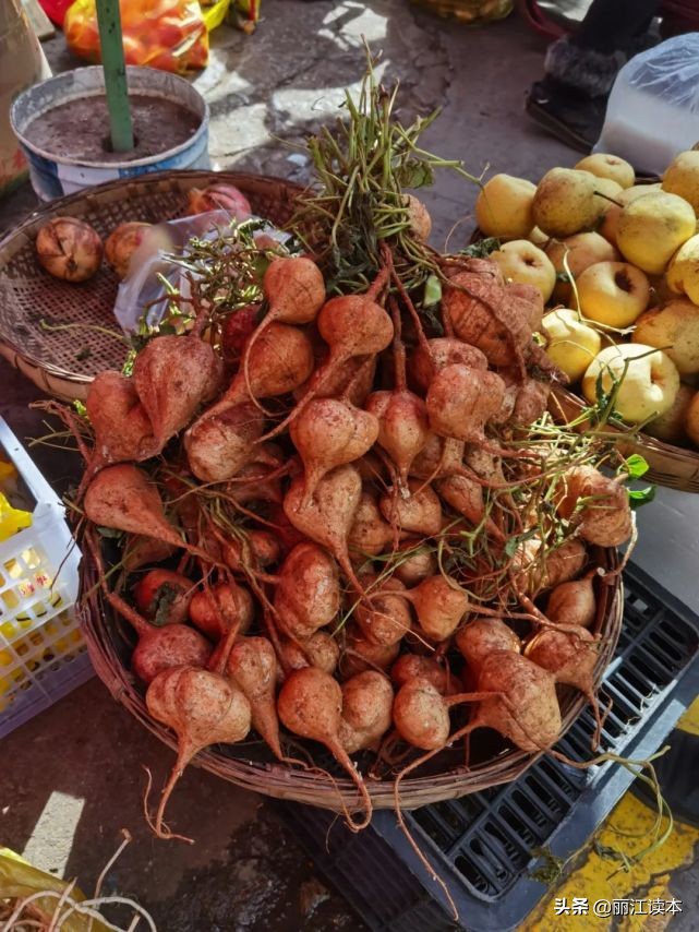 瓜瓜豆豆的视频,瓜瓜豆豆视频