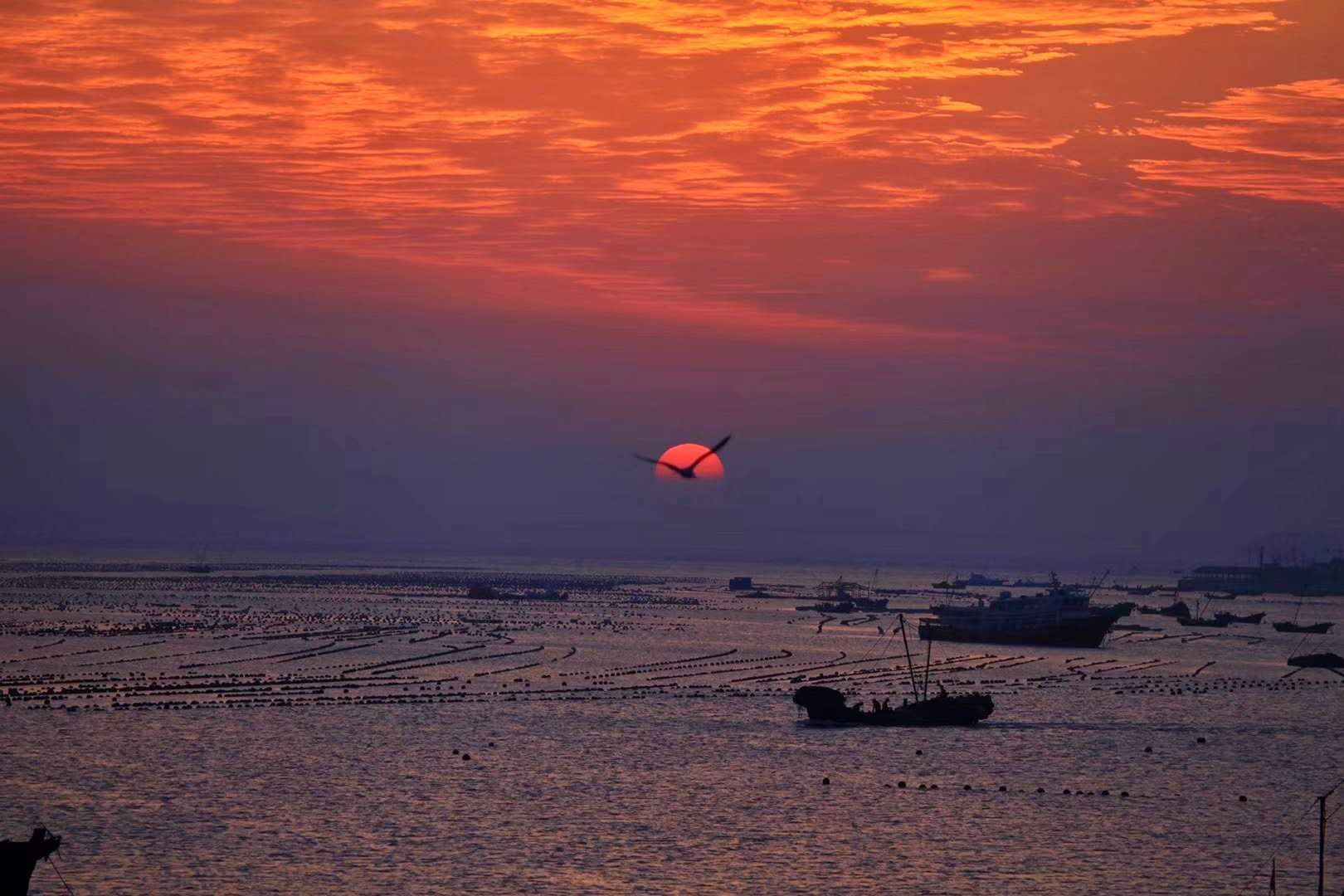 藏在百年工厂里的酒店，价格不到两百，含早，还送智利红酒
