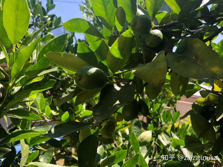 美国现在真实社会现状,美国社会真实的现状