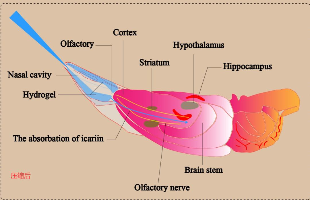 怎样提高图片的内存,内存小的图片大小怎么变大