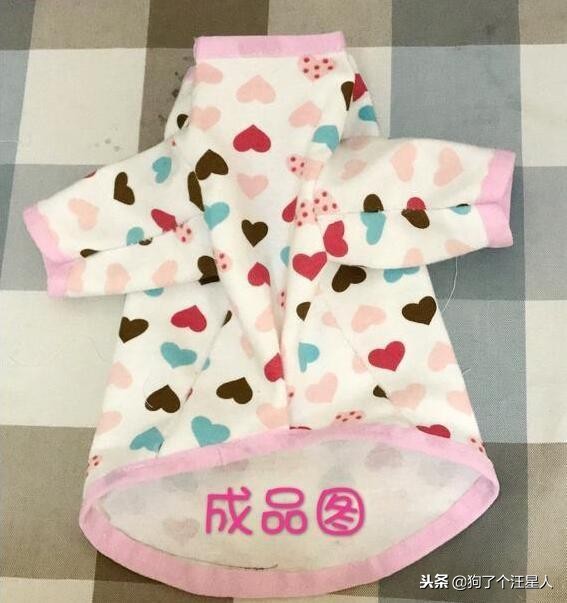 冬季养狗的最佳方法,自制养狗教程