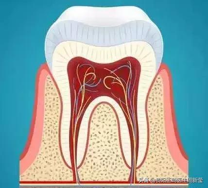 拔牙有什么好方法吗,拔牙有什么好办法不痛