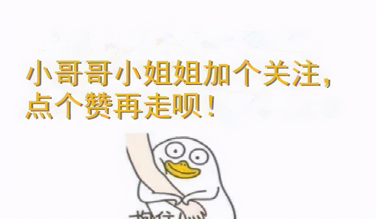 美短猫的迷惑行为,猫最敏感的地方