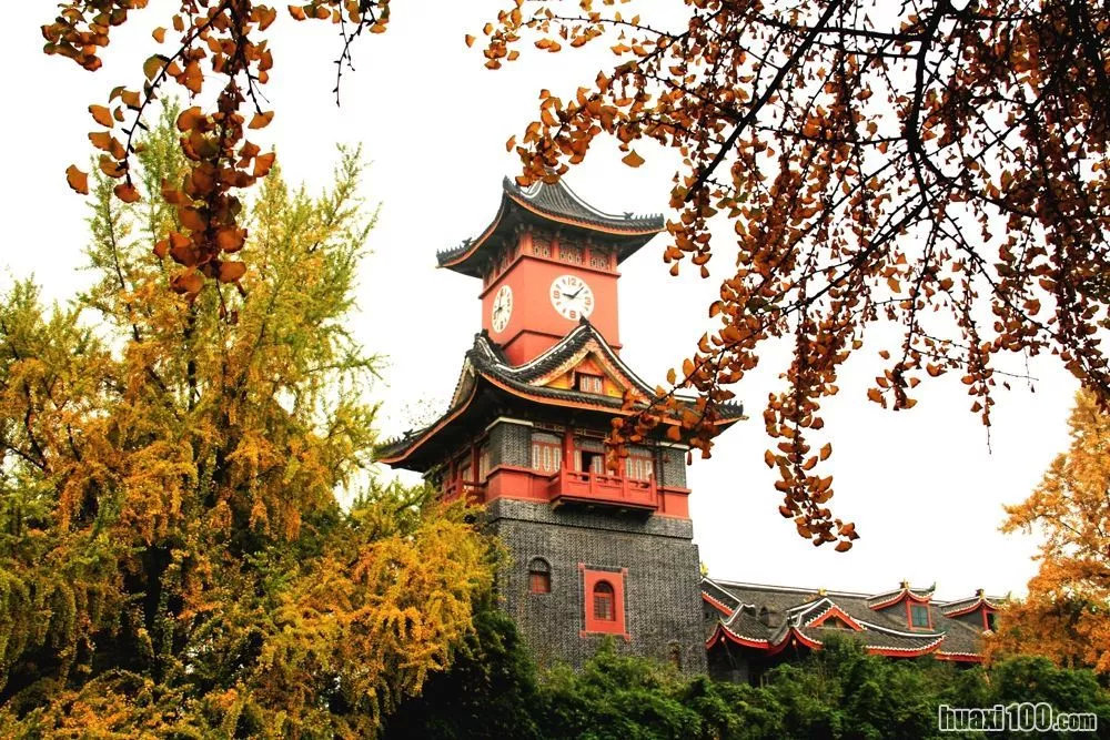 川大考研需要什么条件,川大考研需要准备哪些