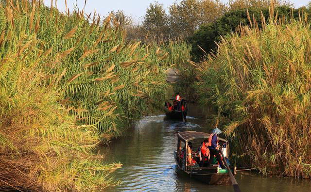 江苏省有哪些5a景区,江苏省有几个5A景区