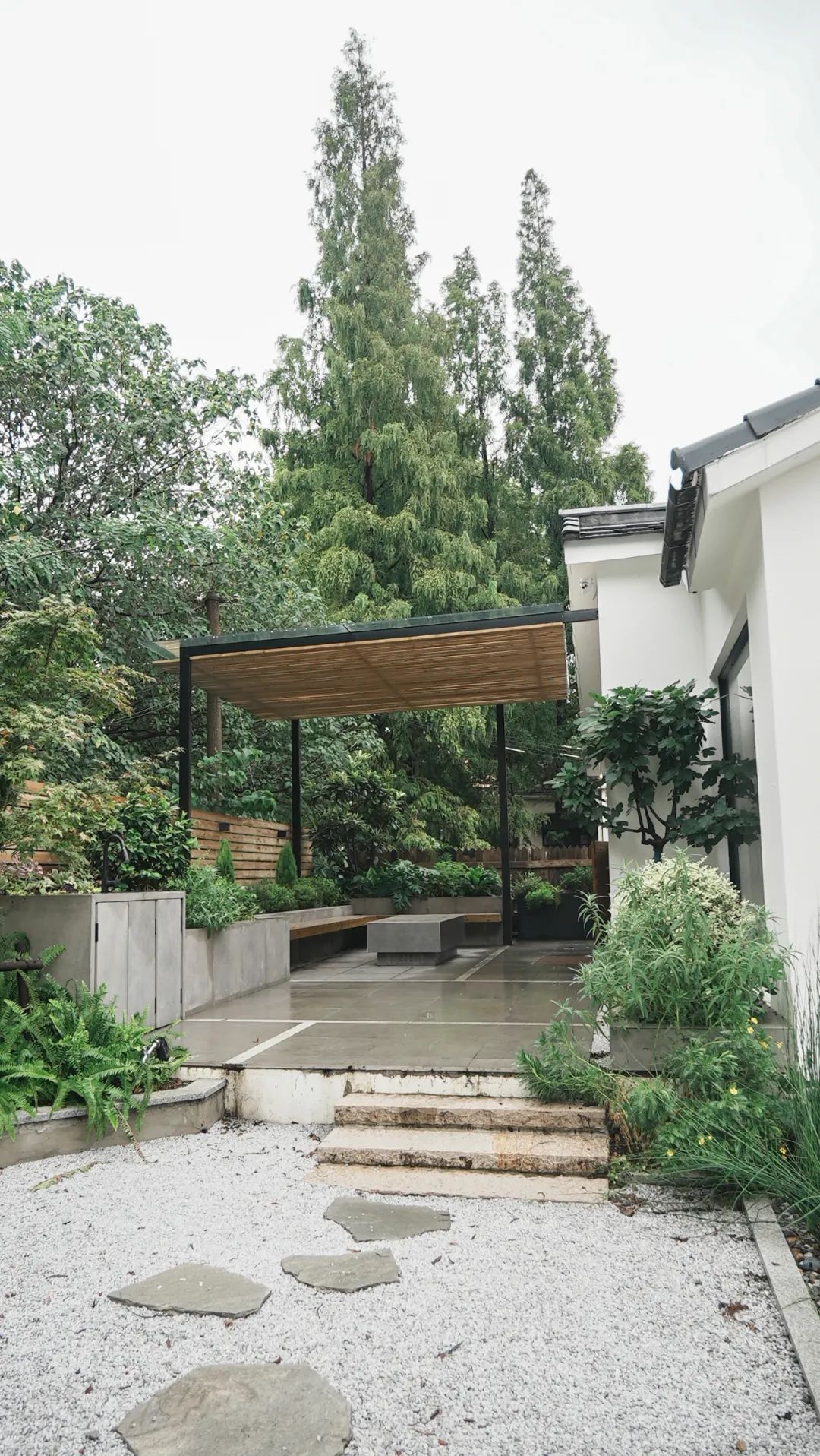 住在上海闹市400平的房子里，花开不败，开窗见池塘，太羡慕了