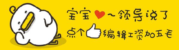 怎样选一款好的狗粮,怎样选一款好狗粮