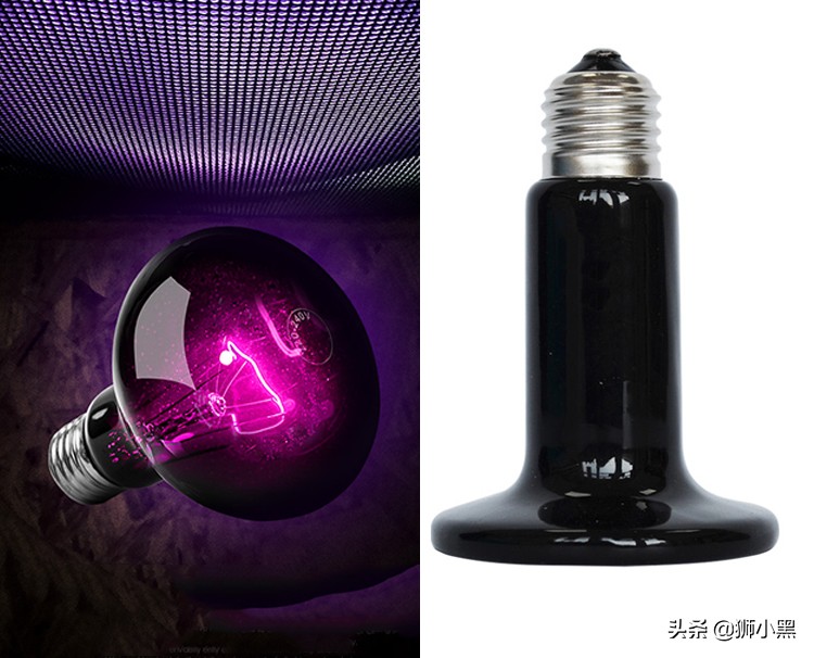 鬃狮蜥饲养套件,鬃狮蜥饲养硬件