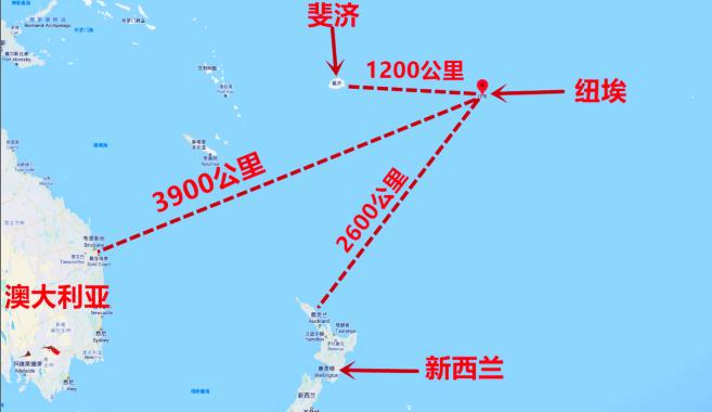 最孤独鸭子被咬死百科,史上最孤独的鸭子