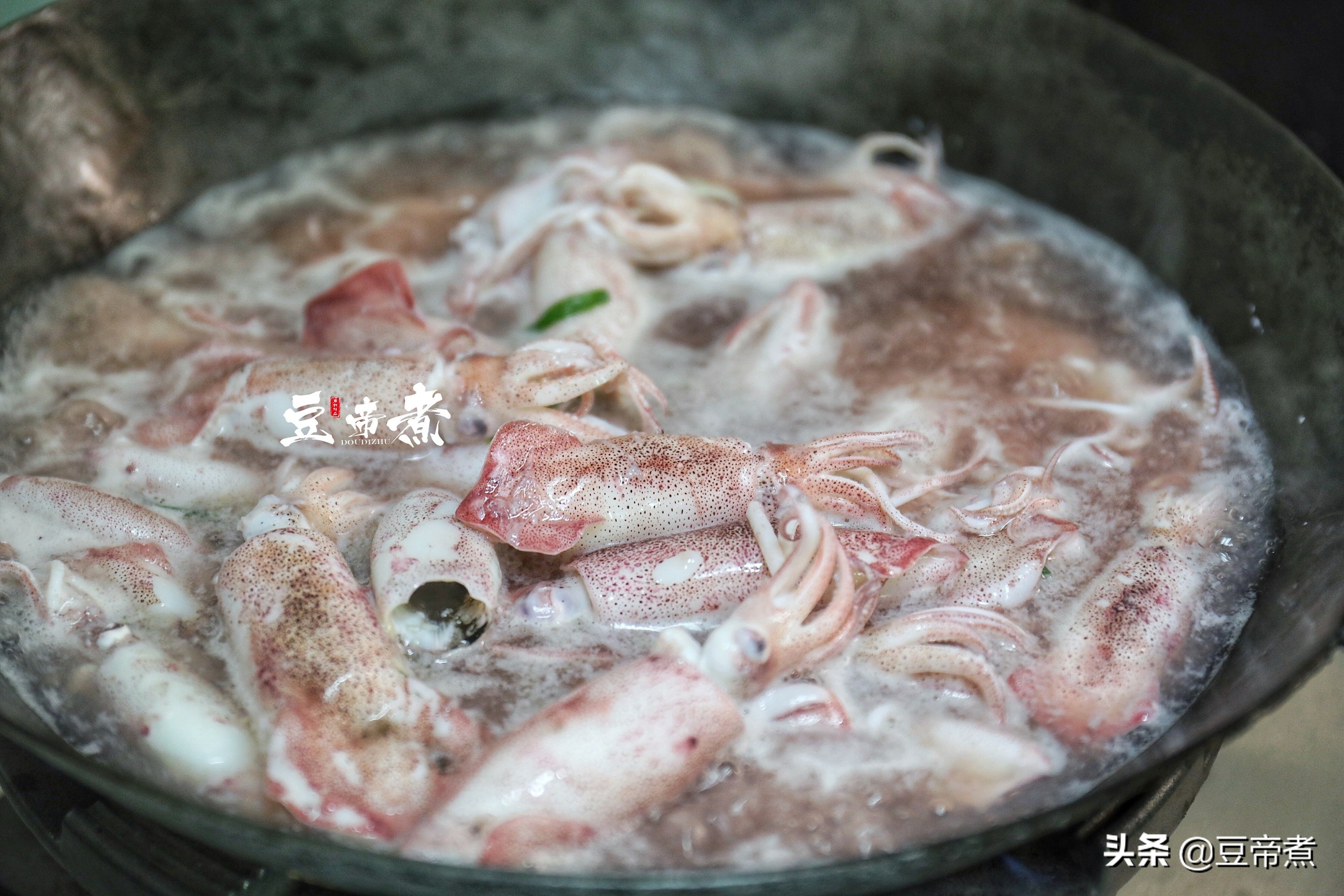 海兔子焯水吃法,海兔子最佳吃法