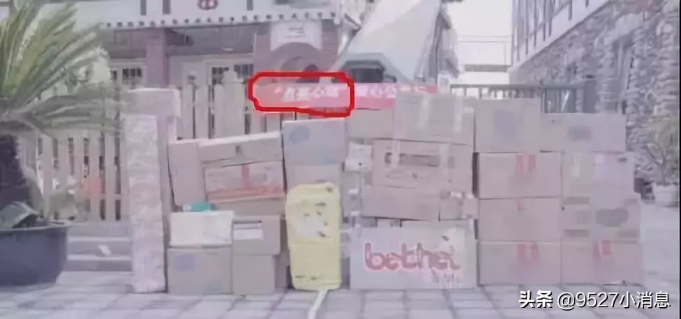 李小璐贾乃亮离婚风波,离婚声明李小璐贾乃亮