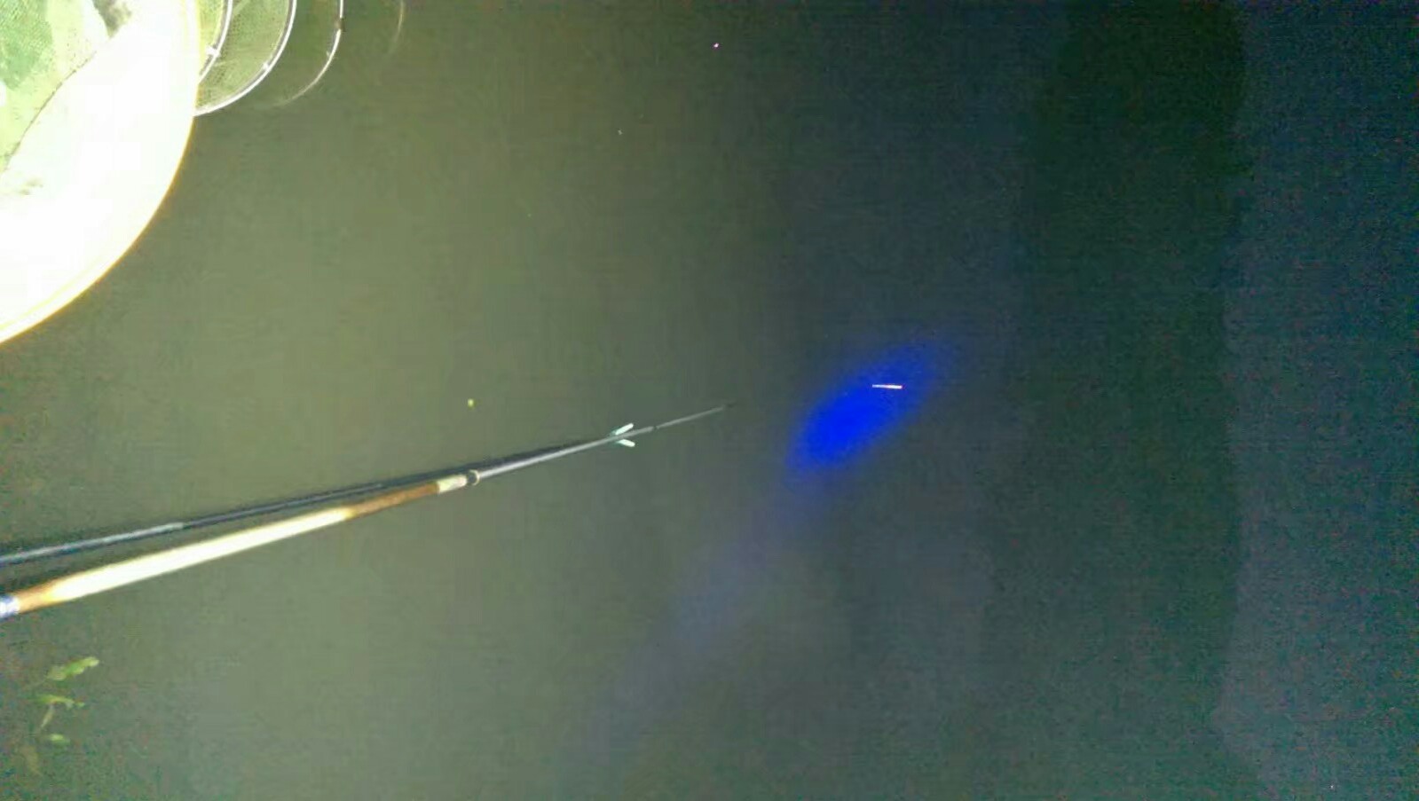 怎么钓鲶鱼有蚯蚓,如何垂钓黑坑鲶鱼