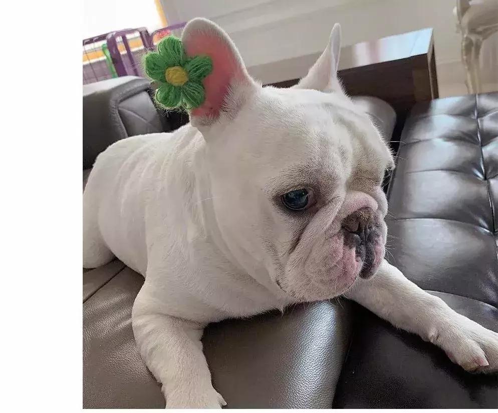 宋妍霏潮流主理人穿搭,王鹤棣桃花坞花衬衫走秀宋妍霏