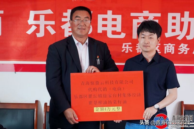 海东市乐都区瞿昙镇徐家台村,徐台村电商