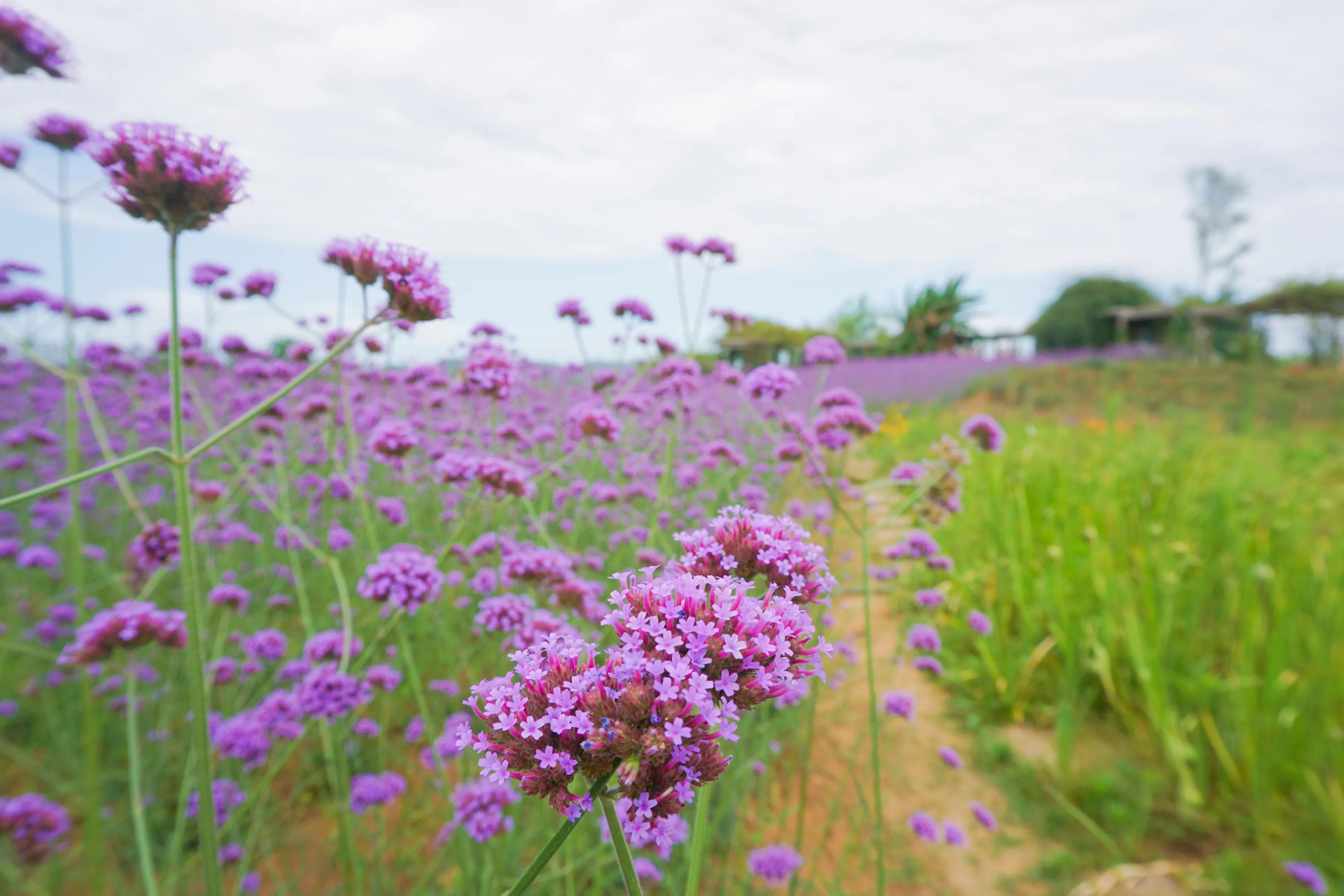 自我的女生有什么表现,有点自我的女生怎么样