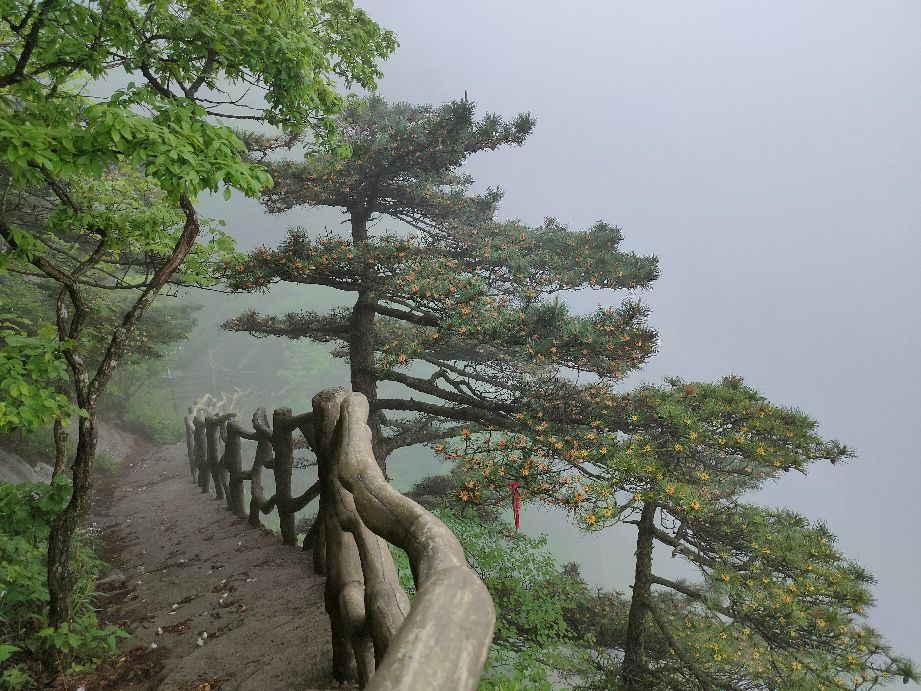 金寨县天堂寨风景区白马大峡谷,金寨县天堂寨风景区雪景