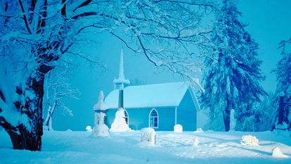 最流行的2024年短语,2020年最流行话语