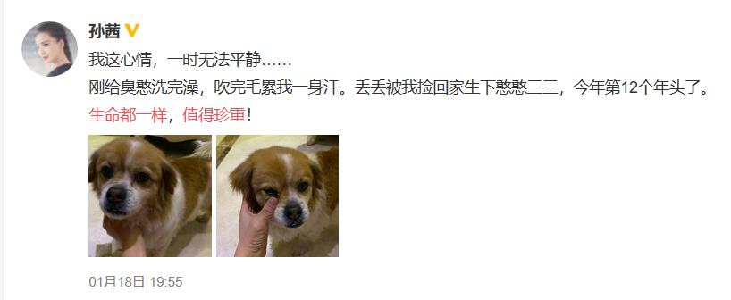 郑爽回应代孕门甩锅成受害者,从业公关10年,我教郑爽怎么回应