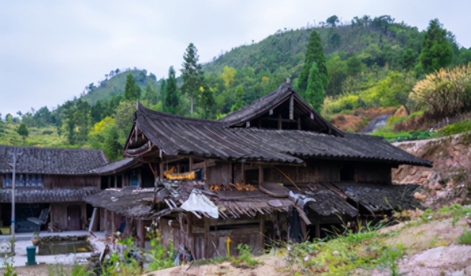 随笔生活中遇到的烦恼,随笔关于病