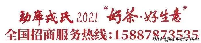 盼了一年的好茶,勐库戎氏古树茶2010秋茶