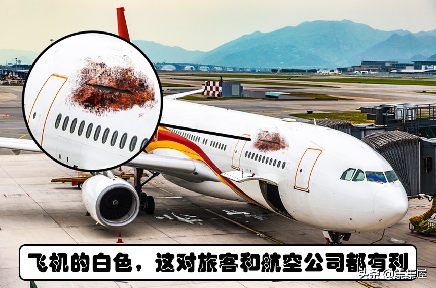 与生活有关冷知识,和颜色有关的冷知识