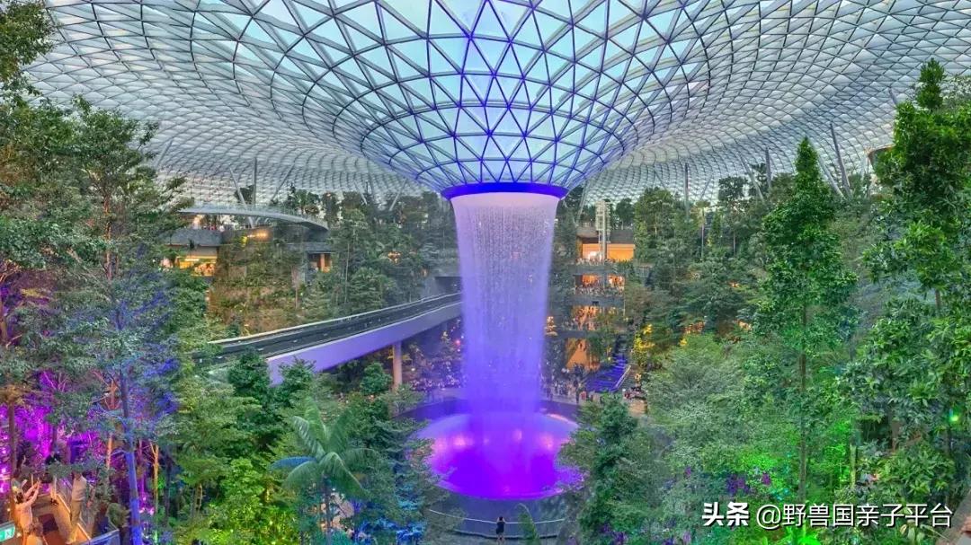 带孩子新加坡4天够玩吗,新加坡带孩子自由行几天