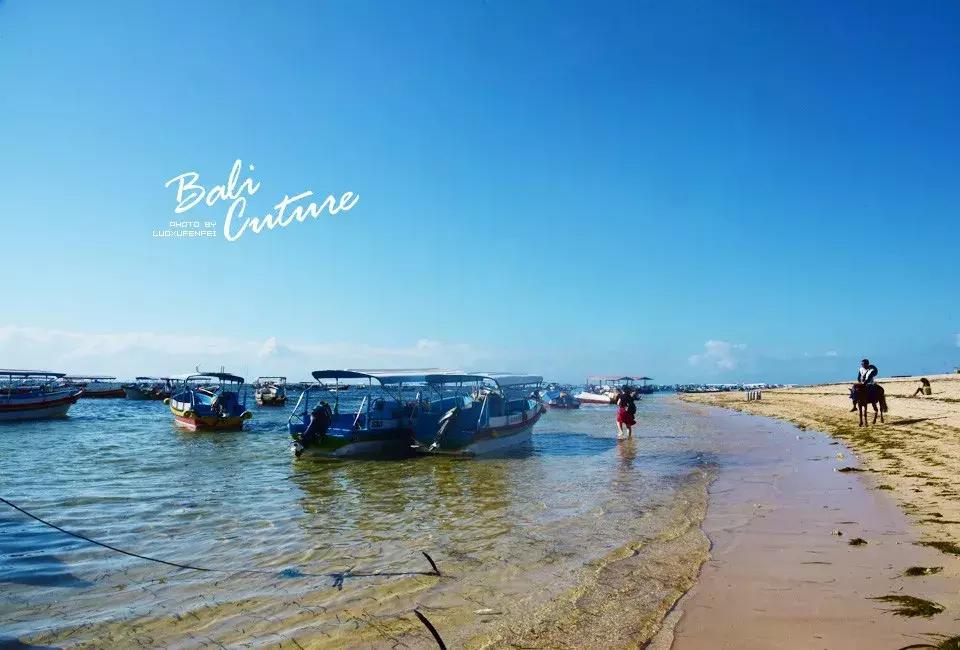 999玩转巴厘究竟嗨不嗨:香遇巴厘,南太平洋的风与海