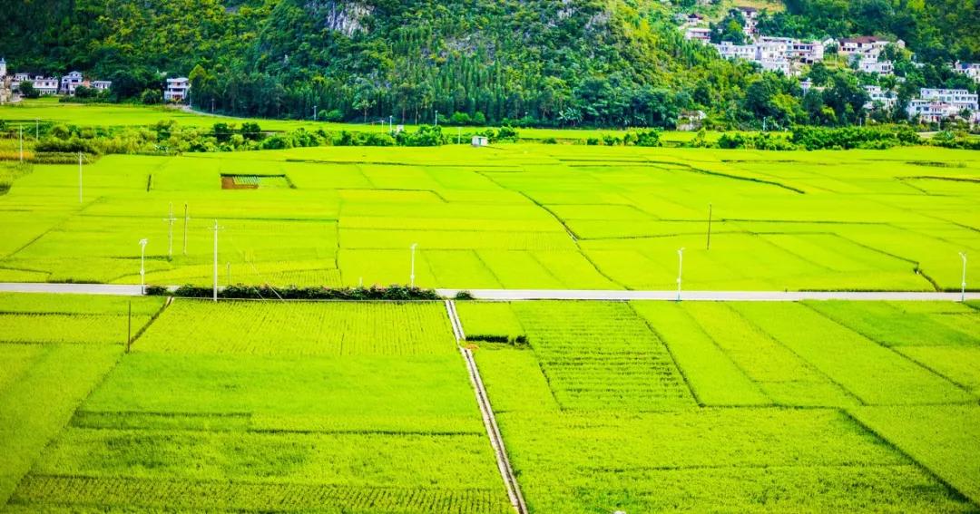 适合住三五天的旅游小镇,国内适合住3-5天的小镇