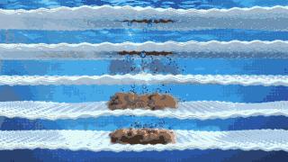 3倍洁净,3倍清洁效果