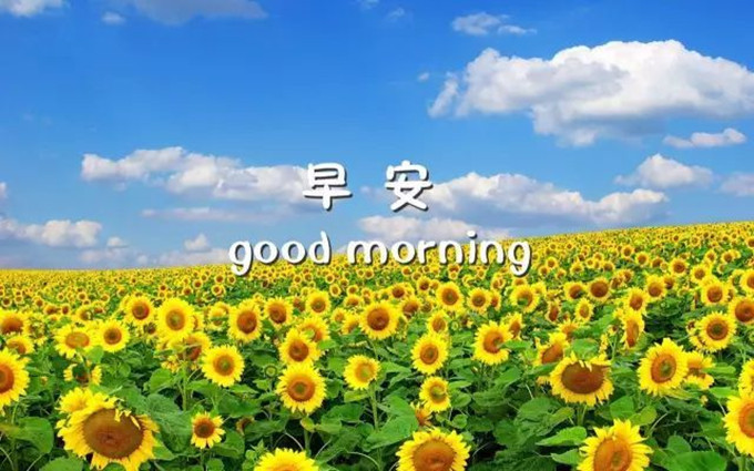 治愈系早安心语语录合集55条,早安心语大全经典