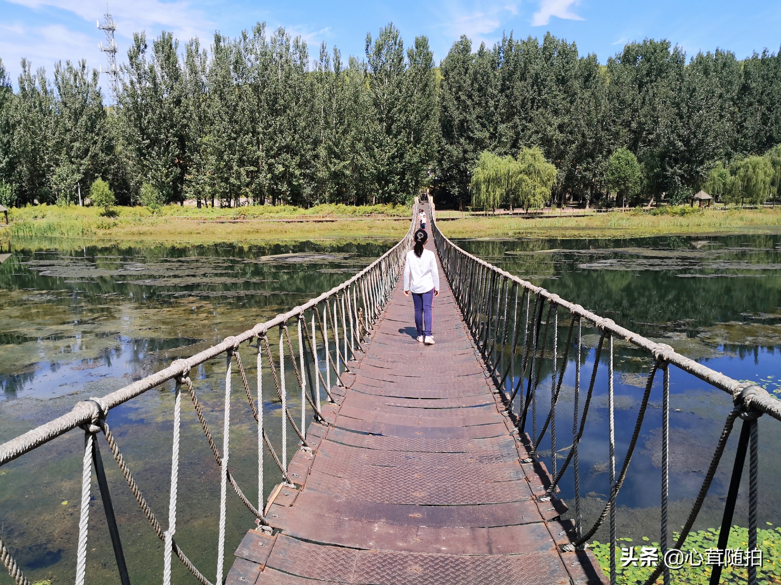 自驾白河湾,白河湾自然风景区自驾