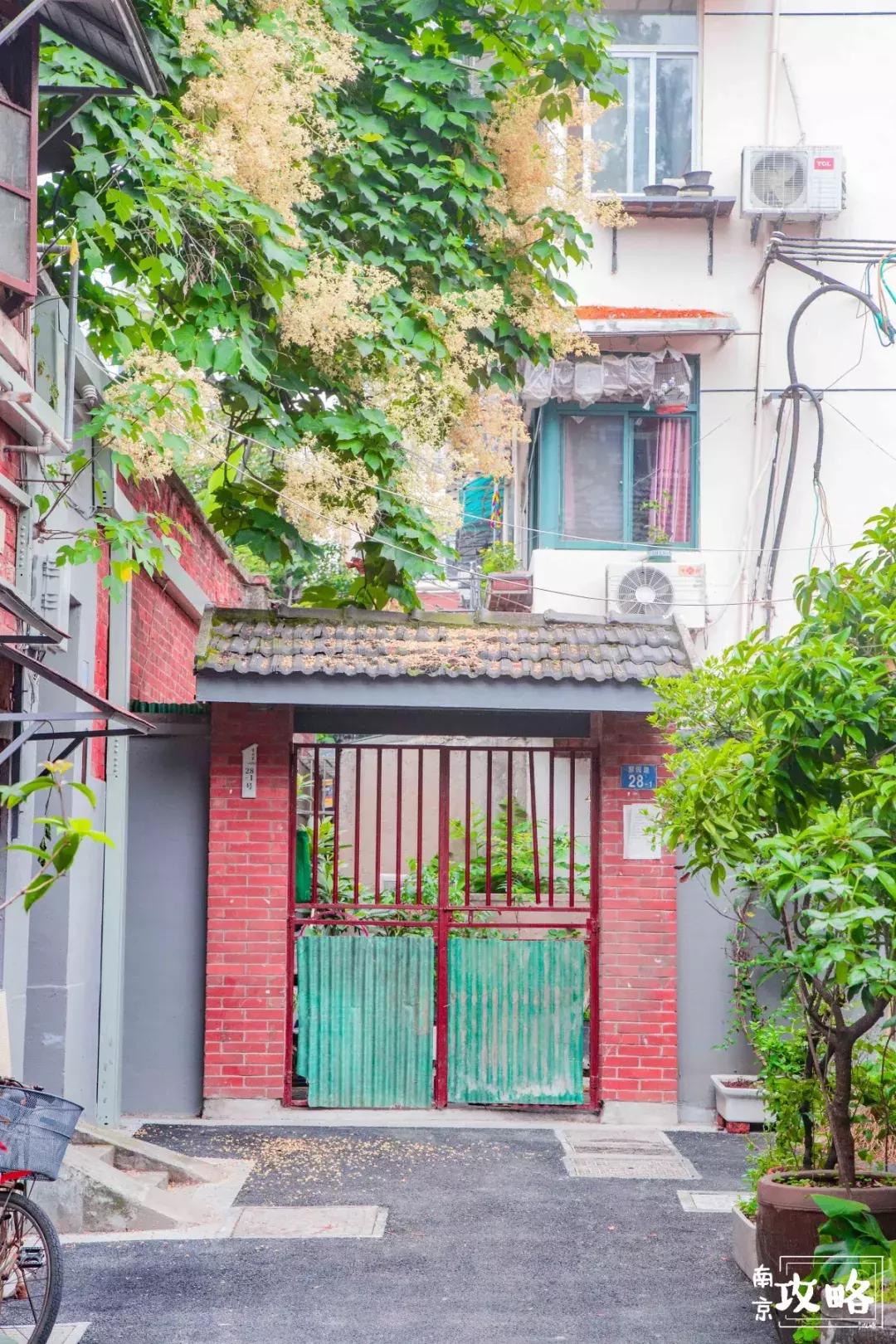 慧园里,南京城中,时光交错的角落