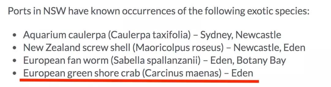 青蟹大批入侵澳洲,红蟹泛滥澳大利亚人怎么处理