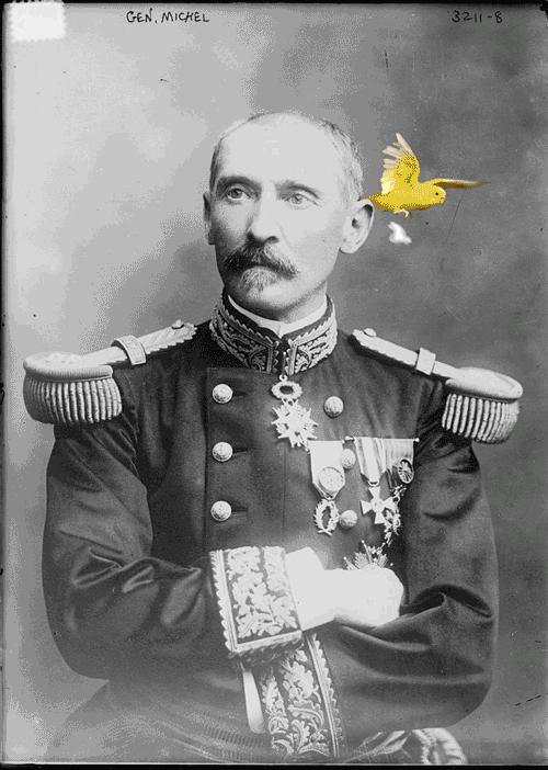 鸡头放摄像头视频,鸡头上装摄像机