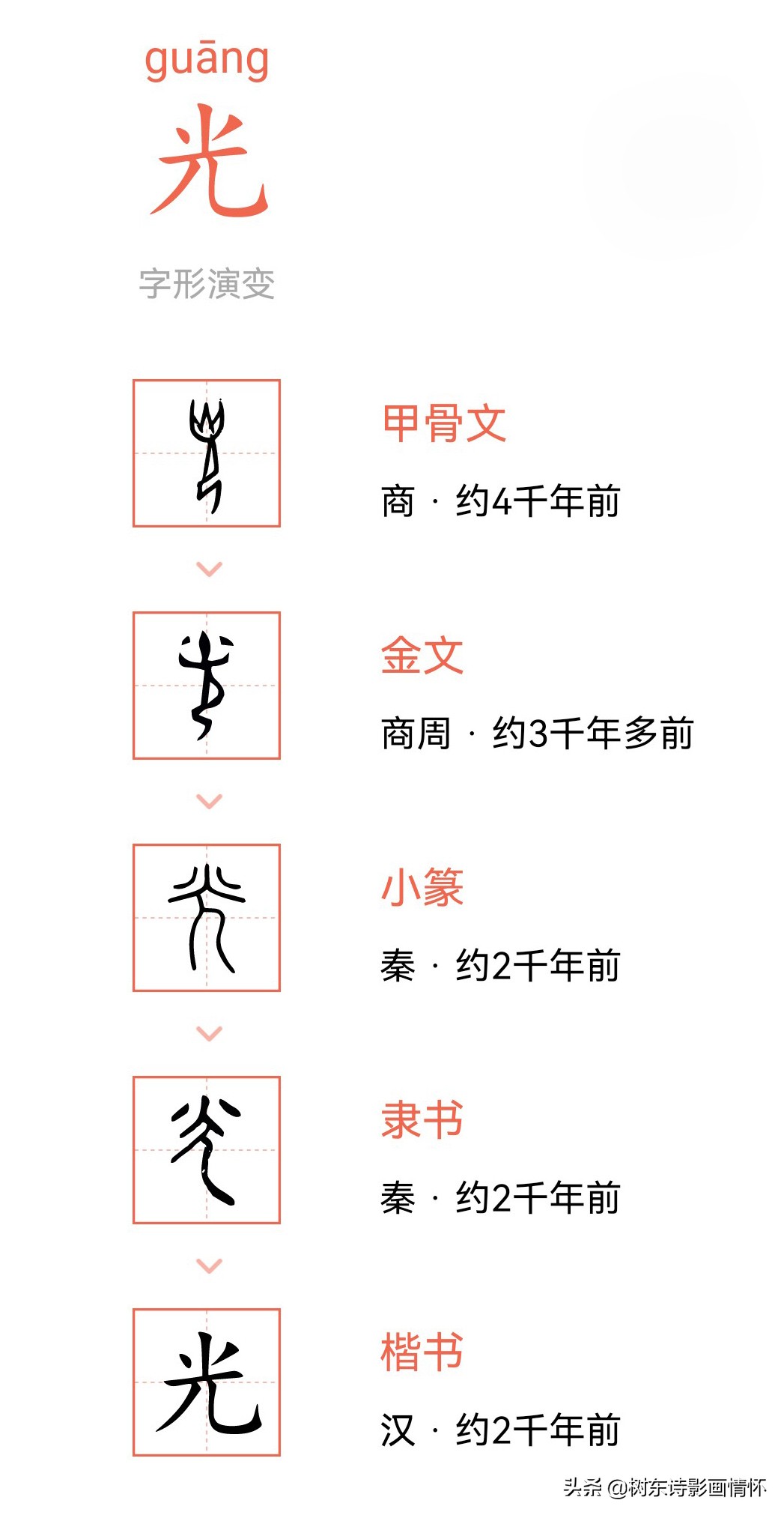 树东说文解字“光”，韬光养晦的历史典故，给我们的启示