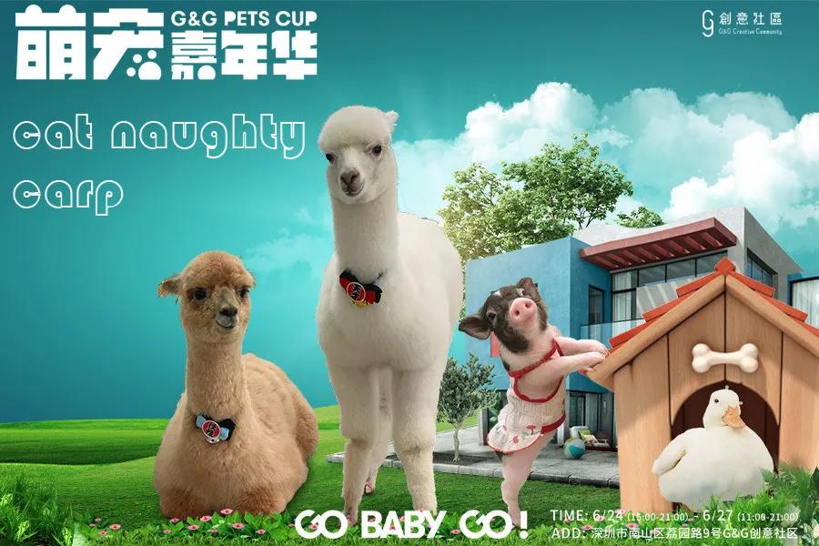 爱宠大机密作战计划,爱宠大作战作战计划