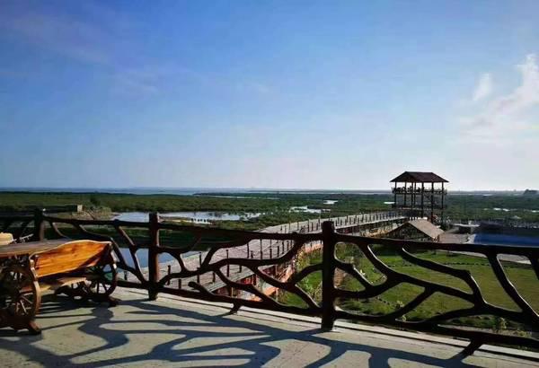 广西防城港这个小城市怎样,防城港最厉害的村