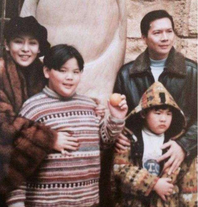 向太为什么要摘除子宫,向太子宫摘除原因