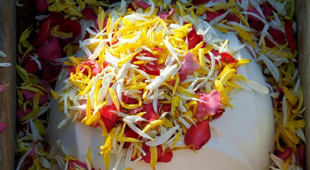 同泰第四届集体树葬圆满举行，21位树葬人士回归自然