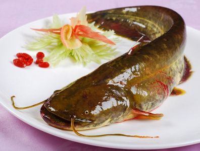 孕妇吃鱼多对胎儿有影响吗,孕期吃鱼对胎儿有什么影响