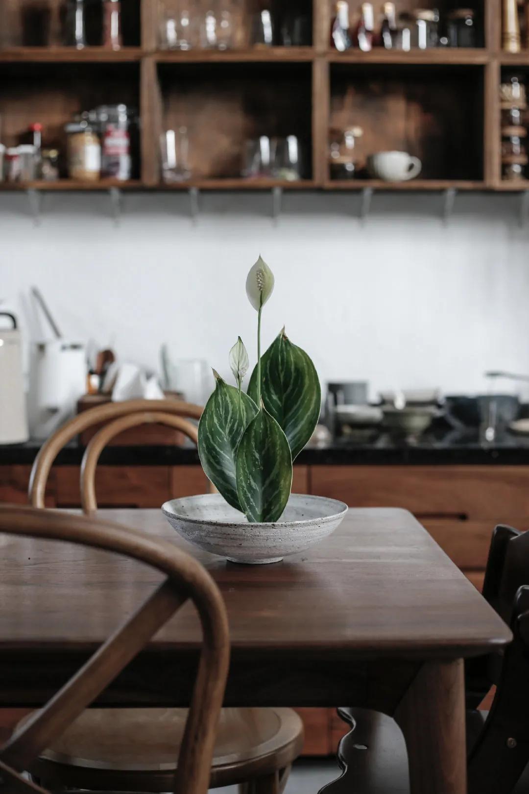 夫妻深山打造500万别墅,90后夫妻隐居山林自建小屋