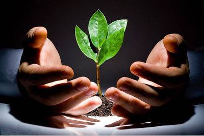 新闻关于女孩被打,8岁女孩被打事件完整版