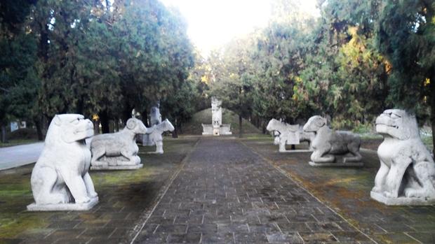 孔林是最大的氏族墓地吗,孔林各个时代的墓葬