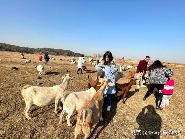 打卡南昌呼伦贝尔大草原,南昌呼伦贝尔草原行